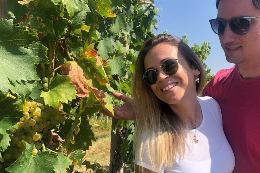 From San Gimignano: Tuscany Vespa Tour, Lunch & Wine Tasting 2