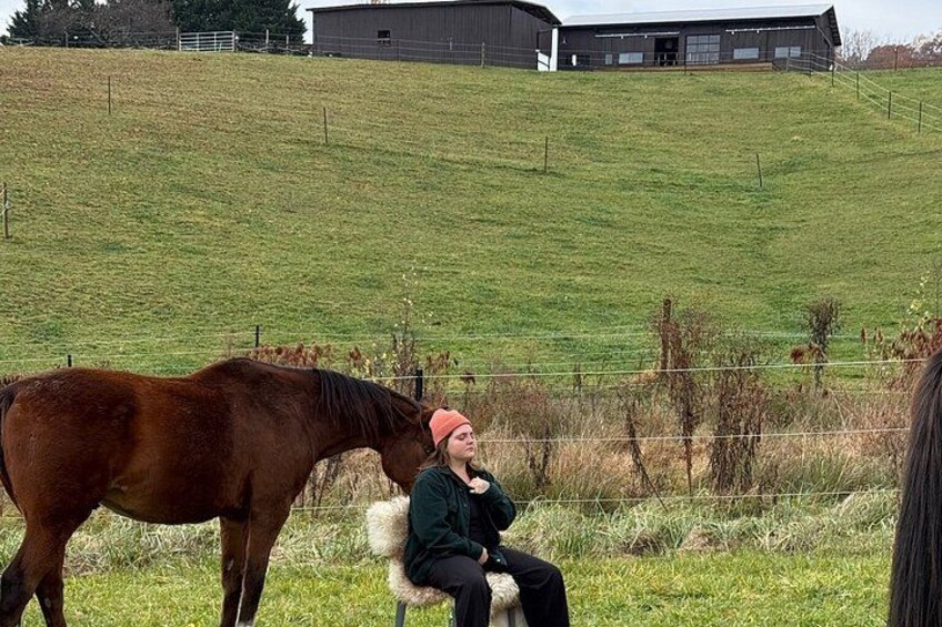 A person sitting on a chair with a horse nearby, a grassy hill, and a building in the background. 5