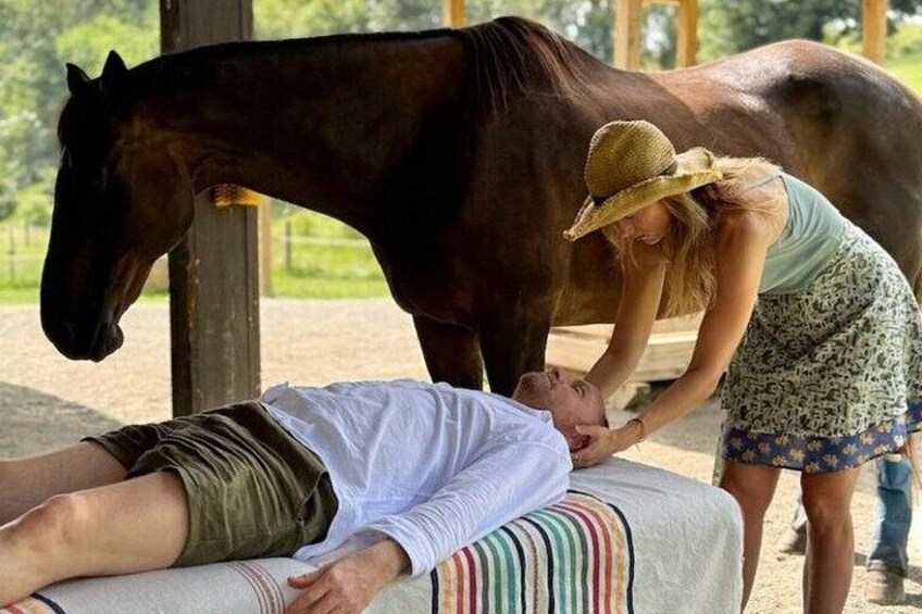 A person lying on a bench with a horse standing behind them. 3