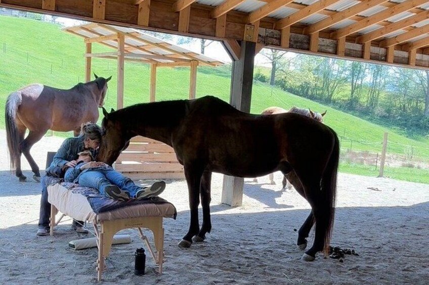 Meditation with Horses at HapBE Valley in Asheville 3