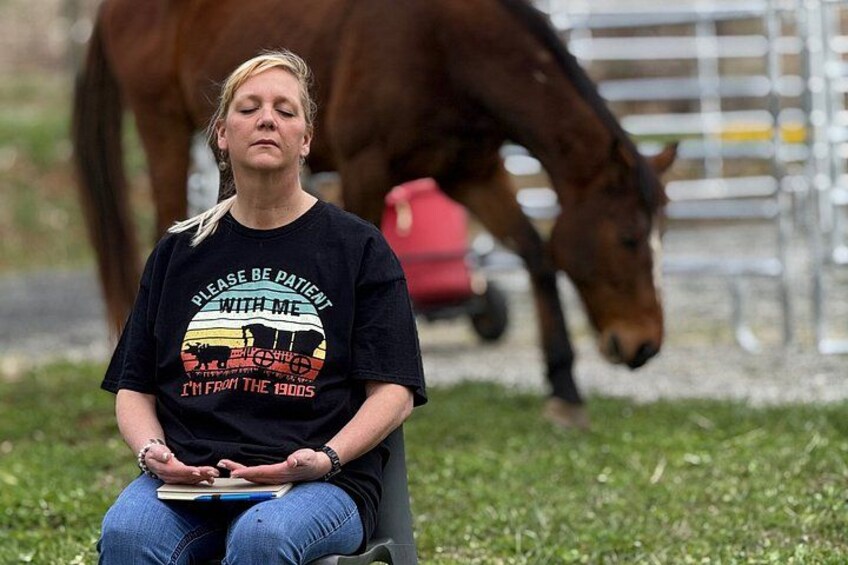 Meditation with Horses at HapBE Valley in Asheville 2