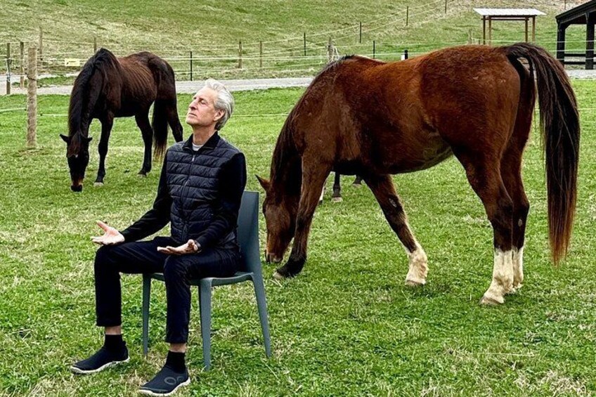 Meditation with Horses at HapBE Valley in Asheville 1