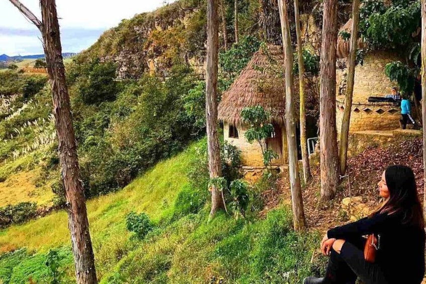 A person sitting on a grassy hill overlooking a thatched-roof house surrounded by trees and vegetation. 4