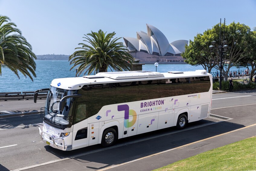 Half Day Sydney Sightseeing Tour 3