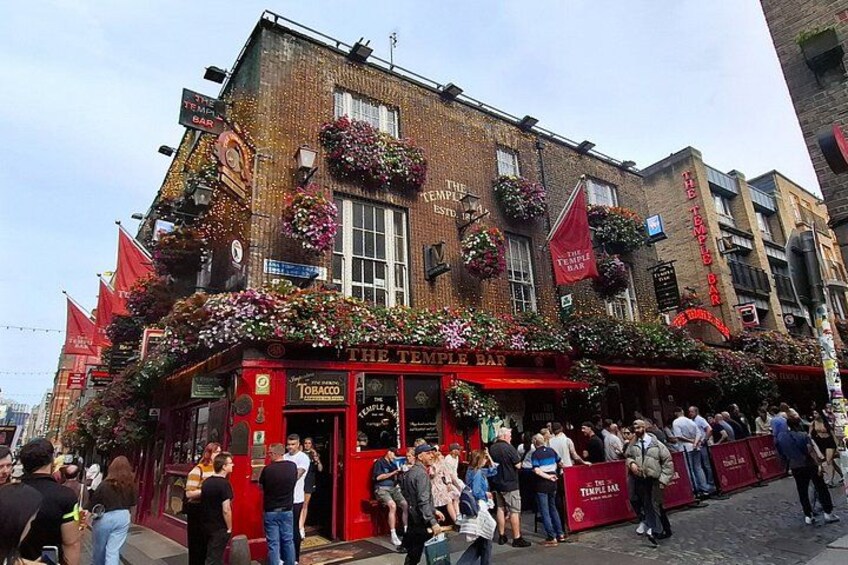 Dublin City Main Sights Private Walking Tour - 2 Hours 30 Minutes 5