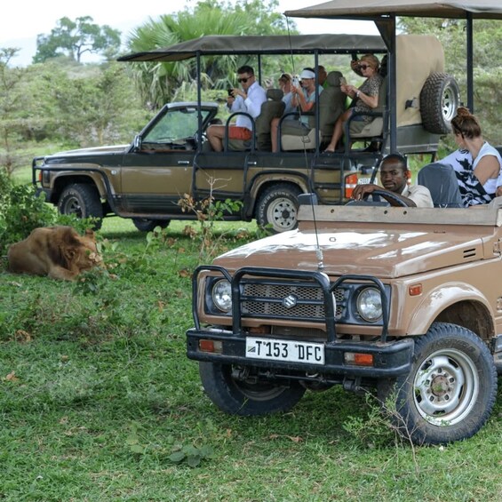 A safari vehicle with passengers and a lion in the background. 4