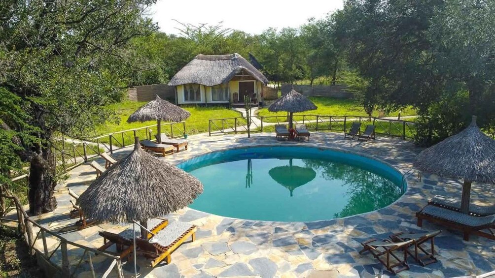A swimming pool with lounge chairs and thatched umbrellas, surrounded by a stone deck and greenery. 5