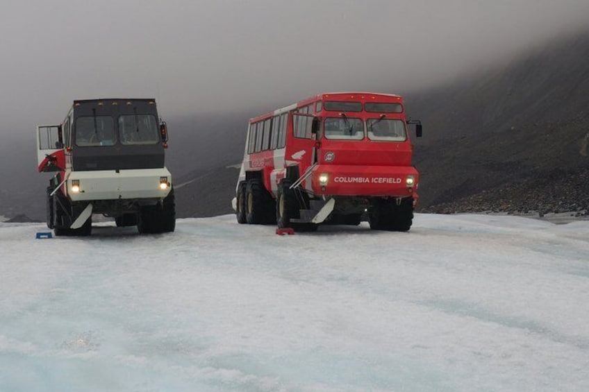 Due veicoli rossi con la scritta 'COLUMBIA ICEFIELD' sul davanti, parcheggiati su una superficie innevata con montagne sullo sfondo. 1