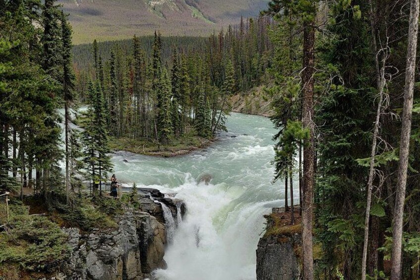 Banff to Jasper Columbia Icefield Glacier Walk Private VIP Tour 3