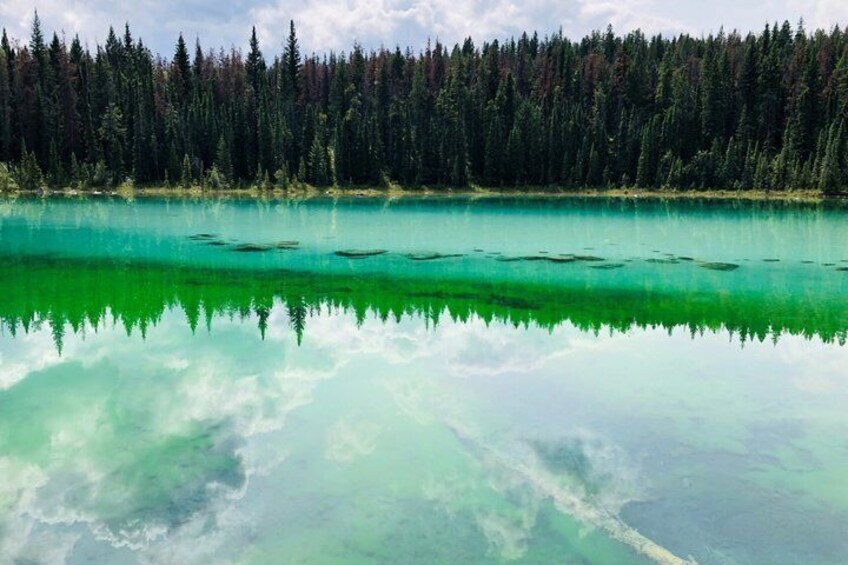 Un lago turchese con riflessi cristallini, circondato da una fitta foresta. 3