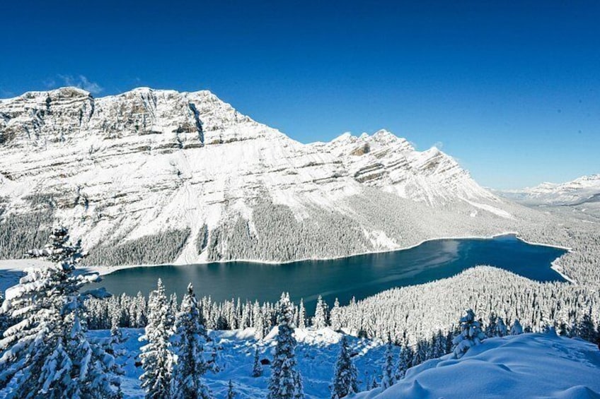 Une chaîne de montagnes enneigées, un lac et une forêt. 2
