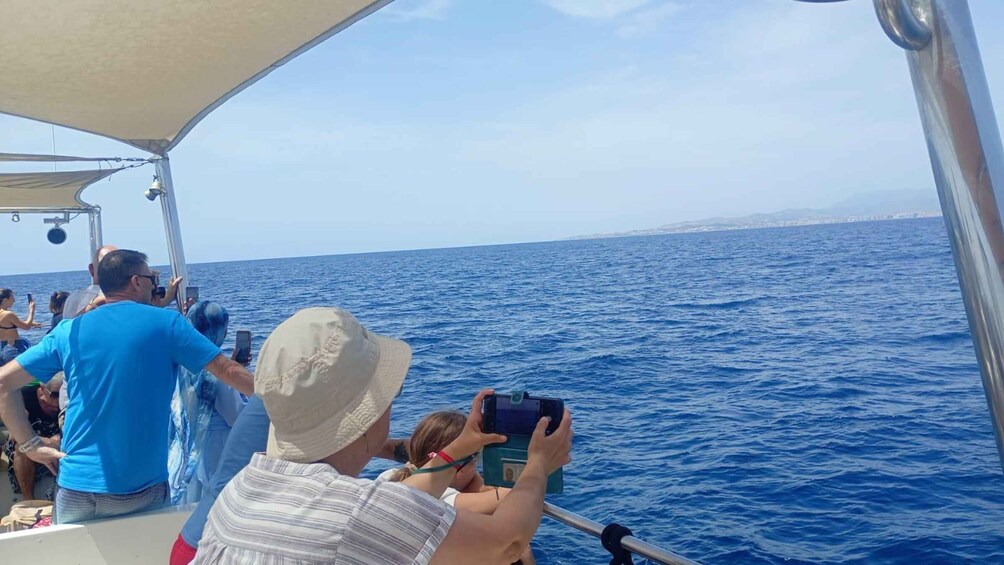 Picture 12 for Activity Benalmádena: Dolphins Watching / Shared Catamaran or private 2