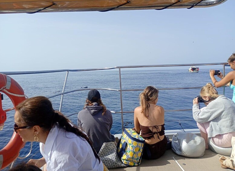 Picture 10 for Activity Benalmádena: Dolphins Watching / Shared Catamaran or private 5