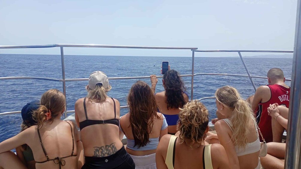 Picture 11 for Activity Benalmádena: Dolphins Watching / Shared Catamaran or private 4