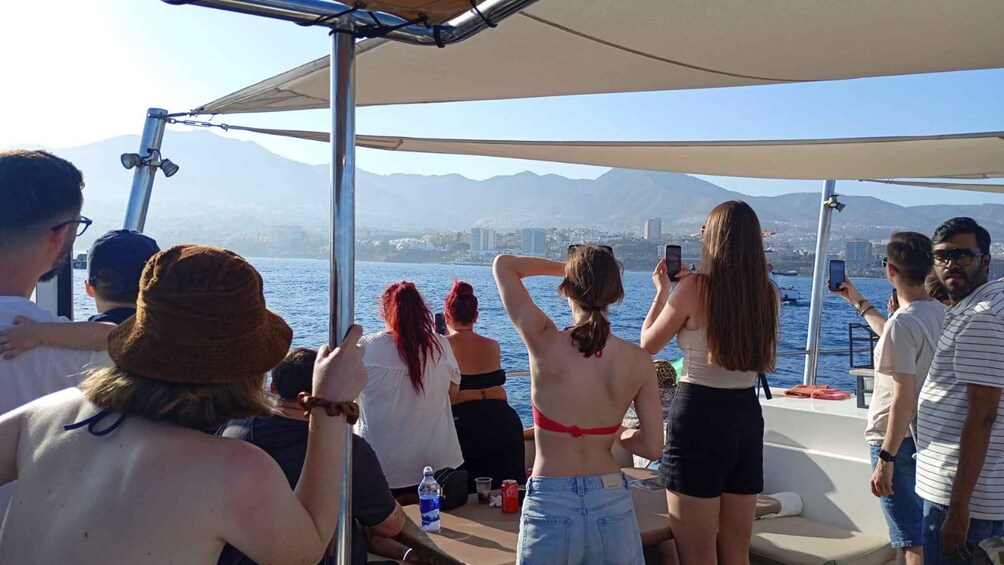 Picture 9 for Activity Benalmádena: Dolphins Watching / Shared Catamaran or private 3
