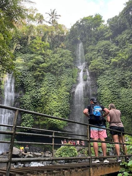 A group of people standing on a bridge overlooking a waterfall in a lush, green forest. 3