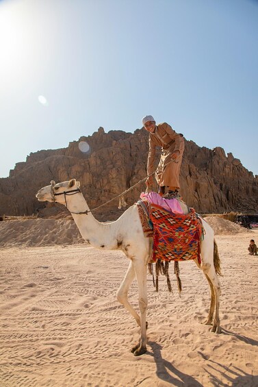A camel with a rider in a desert landscape with rocky cliffs in the background. 4