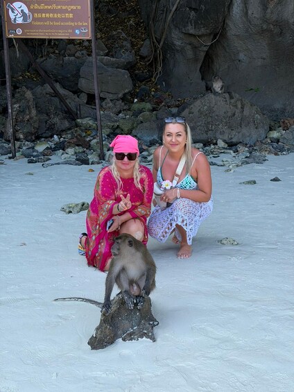 Two people sitting on a beach with a monkey in the foreground. 4