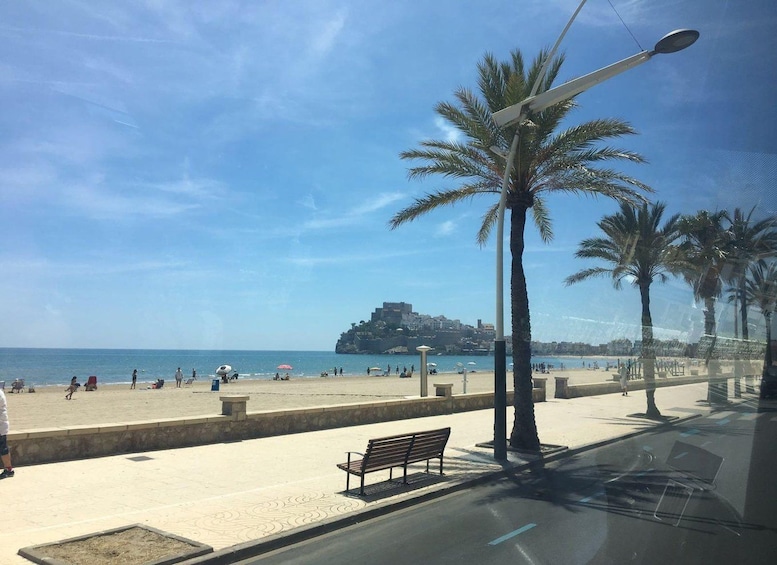 Une plage bordée de palmiers, un banc et un château qui se dessine à l’horizon. 5