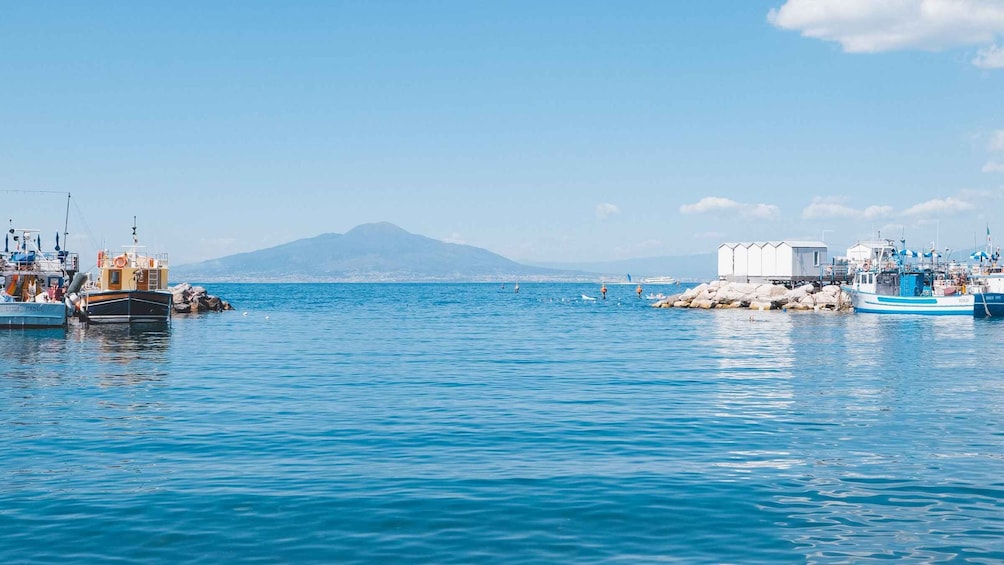 A coastal marina with boats docked, a mountain in the background, and a clear blue sky. 4