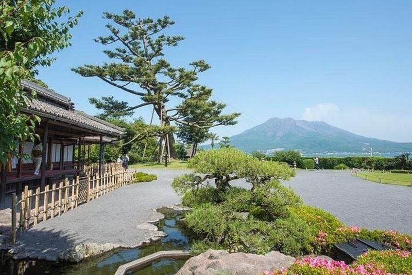 Kagoshima Shared Half-Day Tour (One-Way Transfer from Port) 5