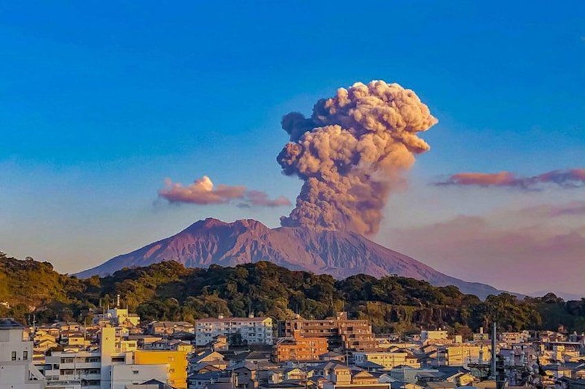 Kagoshima Shared Half-Day Tour (One-Way Transfer from Port) 1