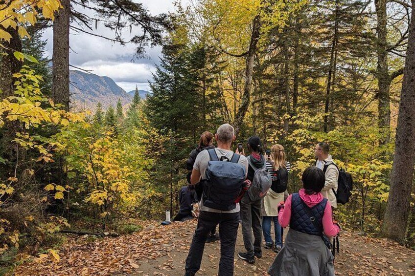 All Inclusive Guided Hike To Jacques Cartier National Park 5