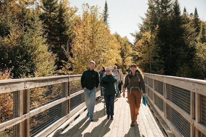 Un pont piétonnier en bois, entouré d’arbres. 1