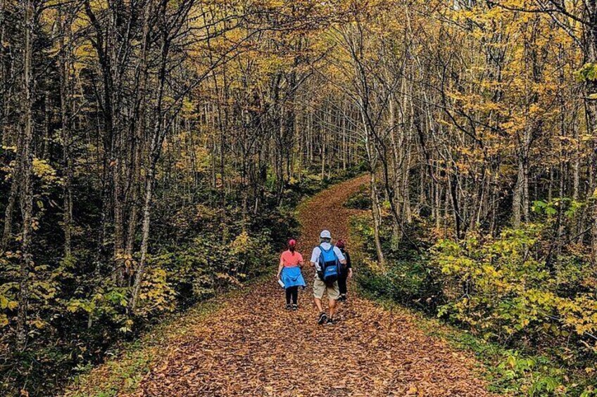 All Inclusive Guided Hike To Jacques Cartier National Park 4