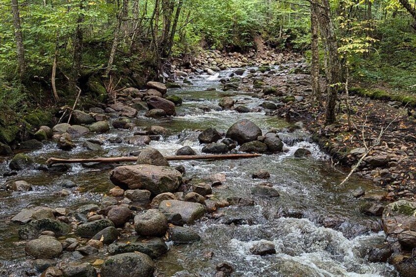 All Inclusive Guided Hike To Jacques Cartier National Park 2