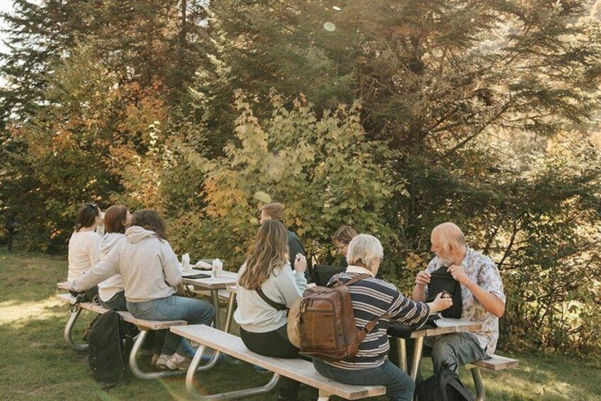 Un groupe de personnes est assis à des tables de pique-nique à l’extérieur, entouré d’arbres. 2