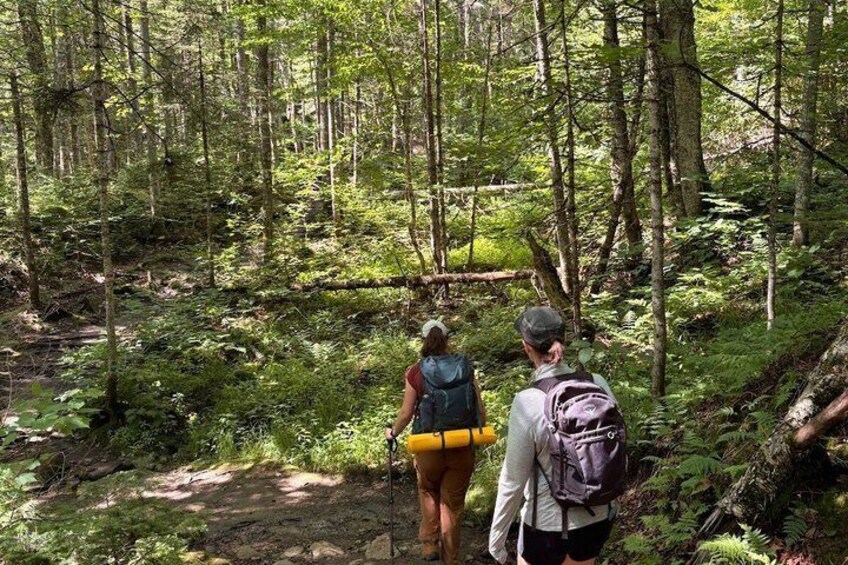 All Inclusive Guided Hike To Jacques Cartier National Park 2