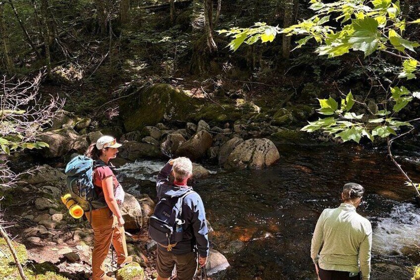 All Inclusive Guided Hike To Jacques Cartier National Park 5