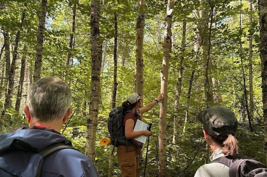 All Inclusive Guided Hike To Jacques Cartier National Park 3