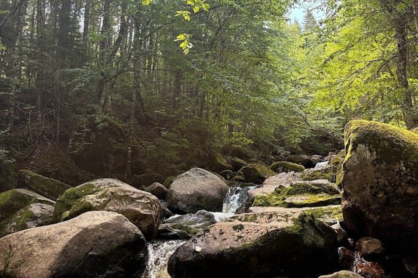 All Inclusive Guided Hike To Jacques Cartier National Park 2