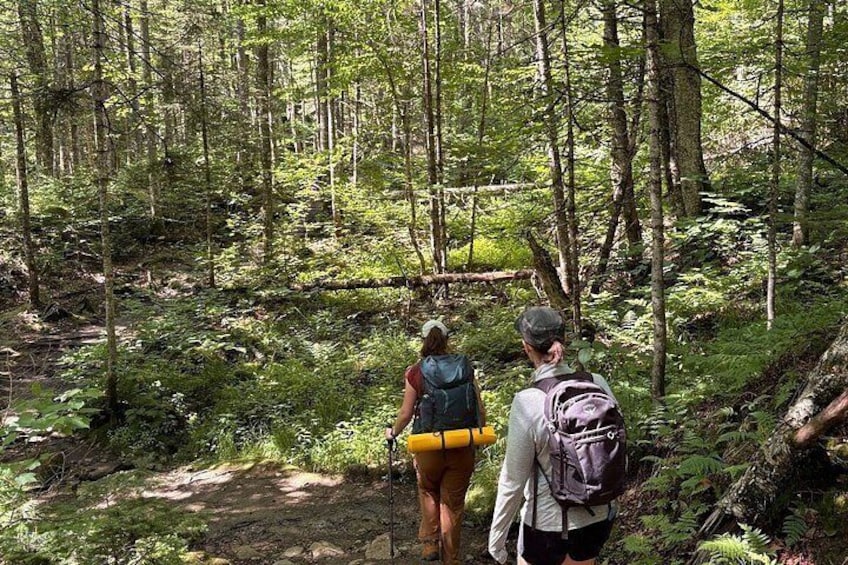 All Inclusive Guided Hike To Jacques Cartier National Park 2