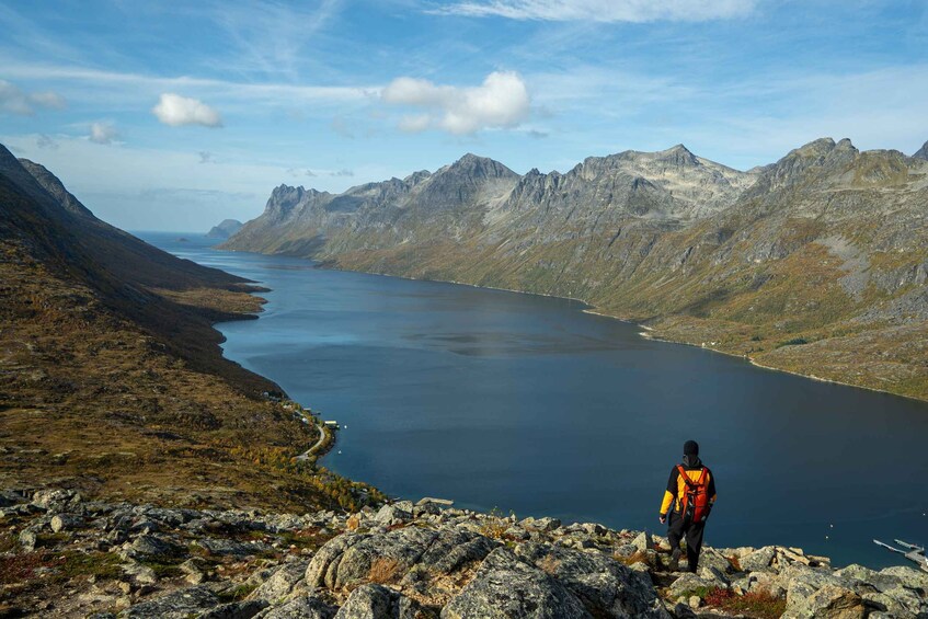 Picture 13 for Activity Tromsø: Autumn Hike with Photos and Local Snacks 4