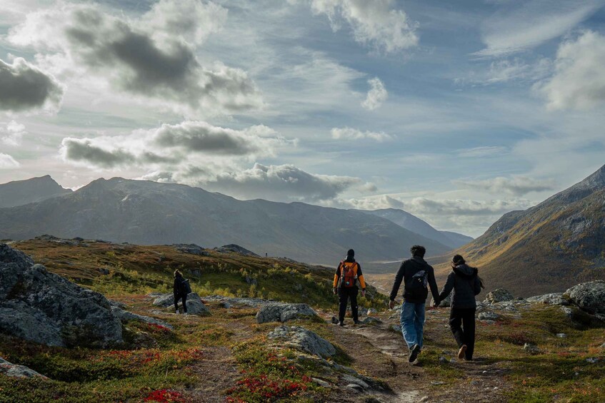 Picture 12 for Activity Tromsø: Autumn Hike with Photos and Local Snacks 3