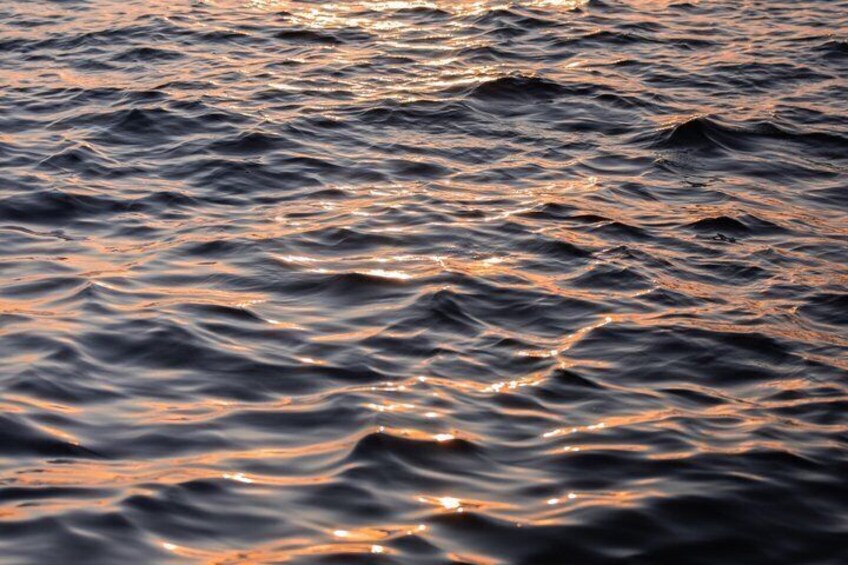 L'eau scintillante reflète la lumière du soleil. 4