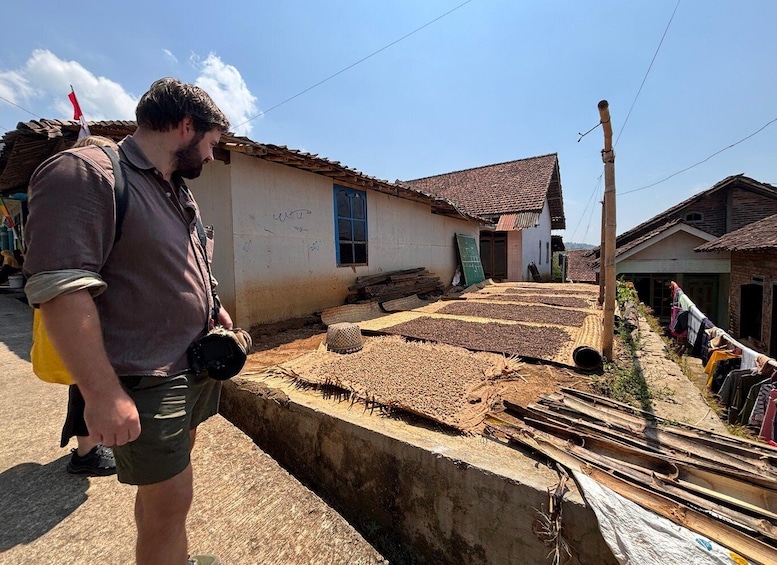 A man standing in a rural area with drying coffee beans spread out on the ground and wooden planks stacked nearby. 3