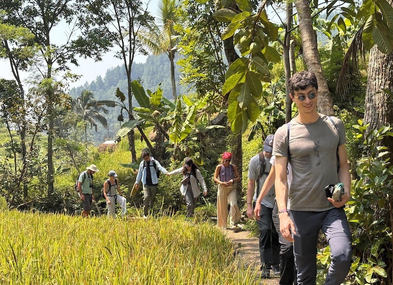 A group of people hiking through a lush, green forested area with tall trees and a clear path. 2