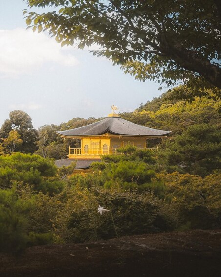 A traditional yellow-roofed pavilion surrounded by lush greenery and trees. 1