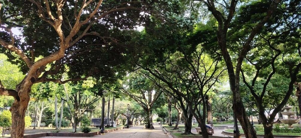 A tree-lined park pathway with benches and a fountain. 5