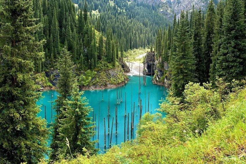Un lago turquesa rodeado de bosque denso. 3