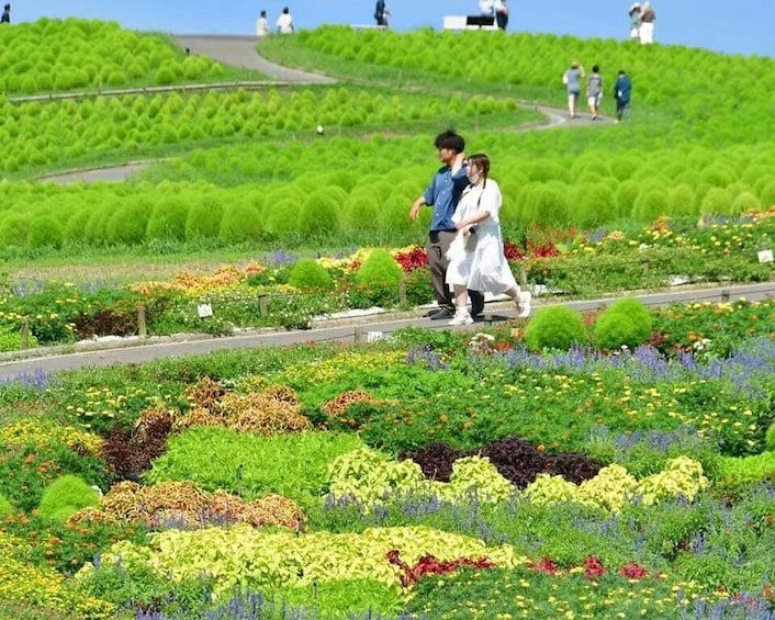 A landscaped garden with various colorful flowers and a winding path. 1
