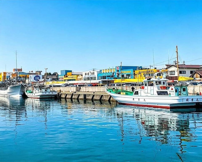 A harbor with boats docked, colorful buildings, and a clear blue sky. 5