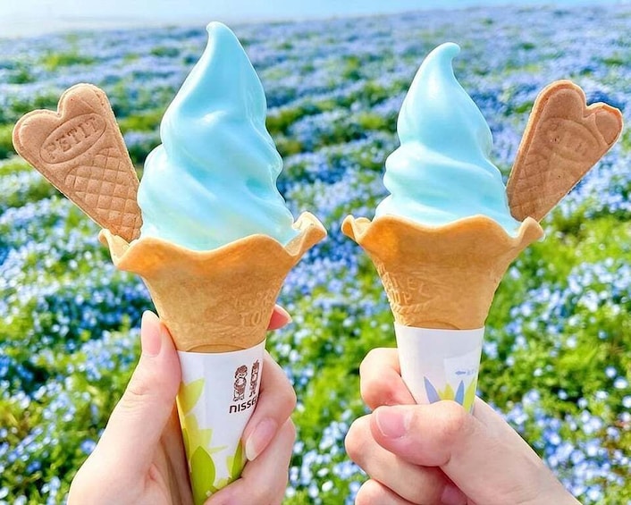 Two ice cream cones with heart-shaped waffle tops held by hands against a field of flowers. 4
