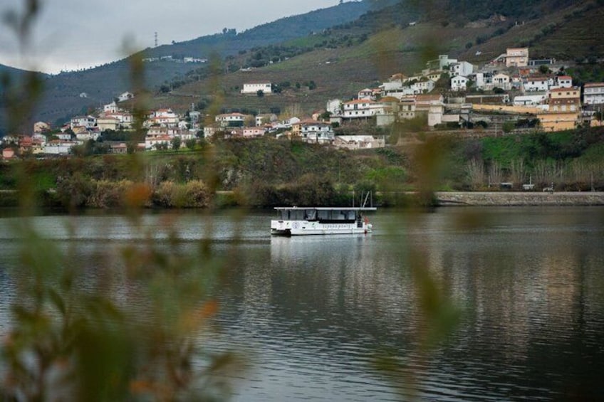 50-Minute Private Douro River Cruise with Panoramic Views 2