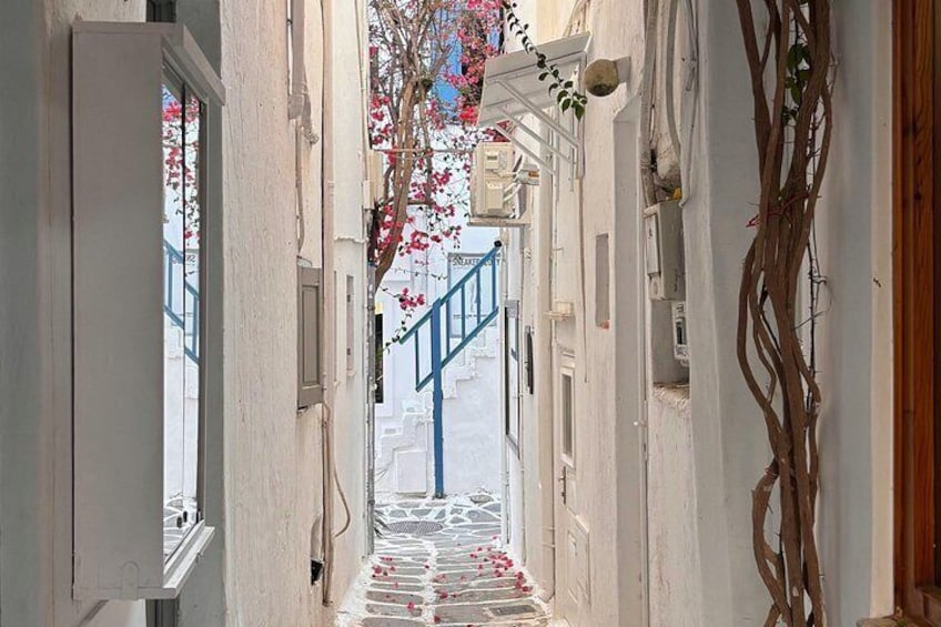 Authentic Paros Village Secrets and Local Experience 3