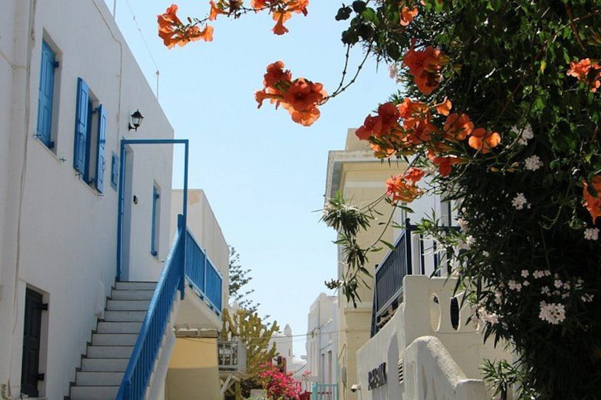 Authentic Paros Village Secrets and Local Experience 3